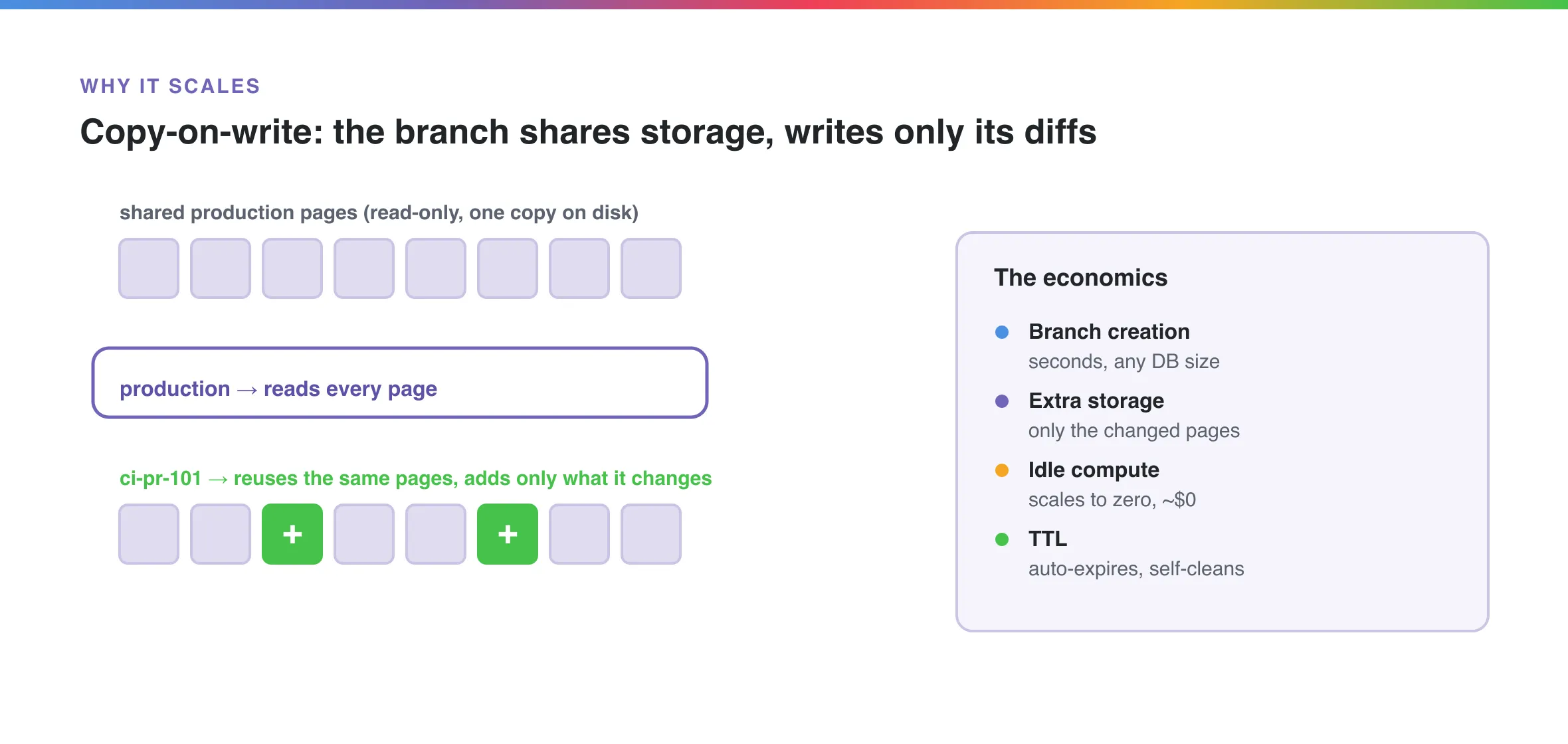 Diagram: production reads every shared storage page, while branch ci-pr-101 reuses the same pages and adds only the two it changed. A panel lists the economics: branch creation in seconds at any size, extra storage only for changed pages, idle compute scaling to zero, and TTL auto-expiry.